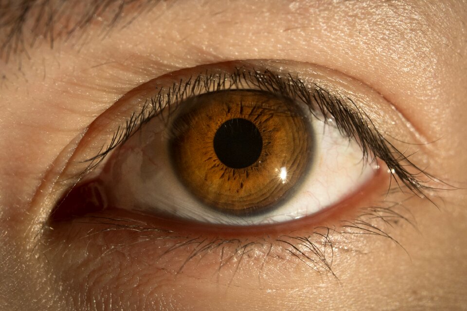 Eyes to watch look