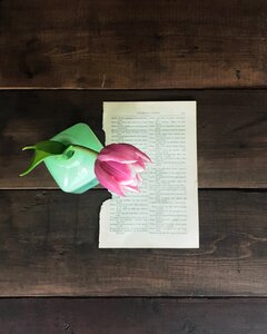 Table vintage pink photo