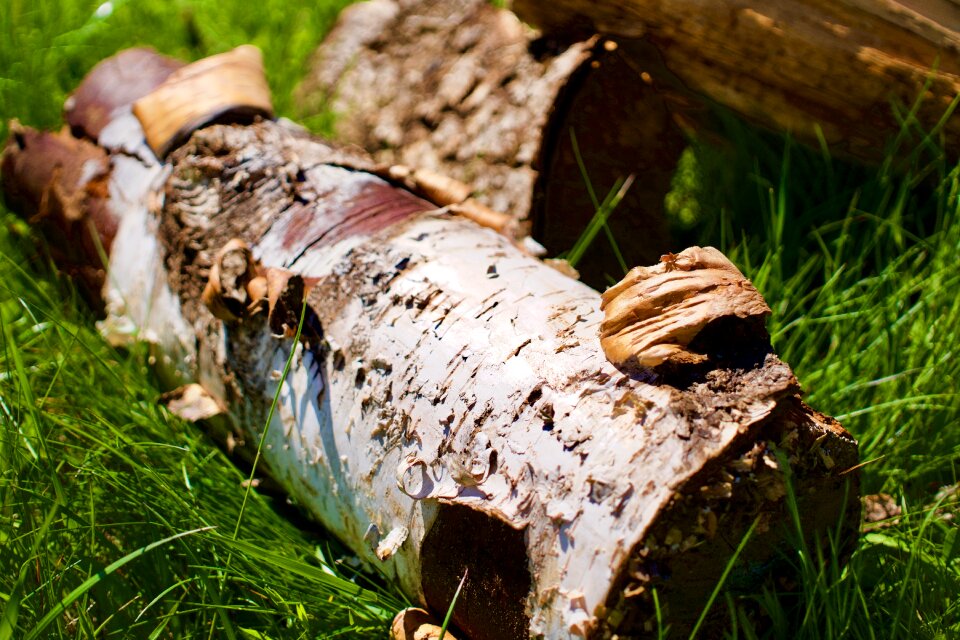 Timber outdoor grass