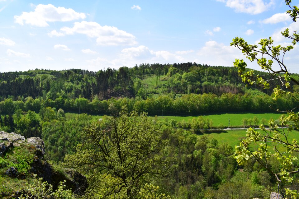 Nature horizon green