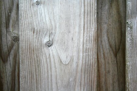 Wall fence Free photos