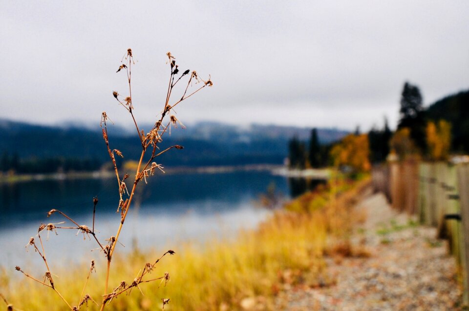 Autumn usa montana