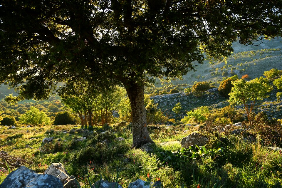 Crete mountains Free photos