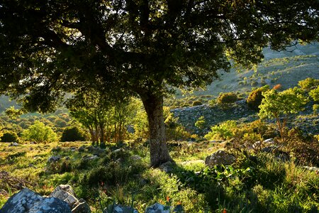 Crete mountains Free photos