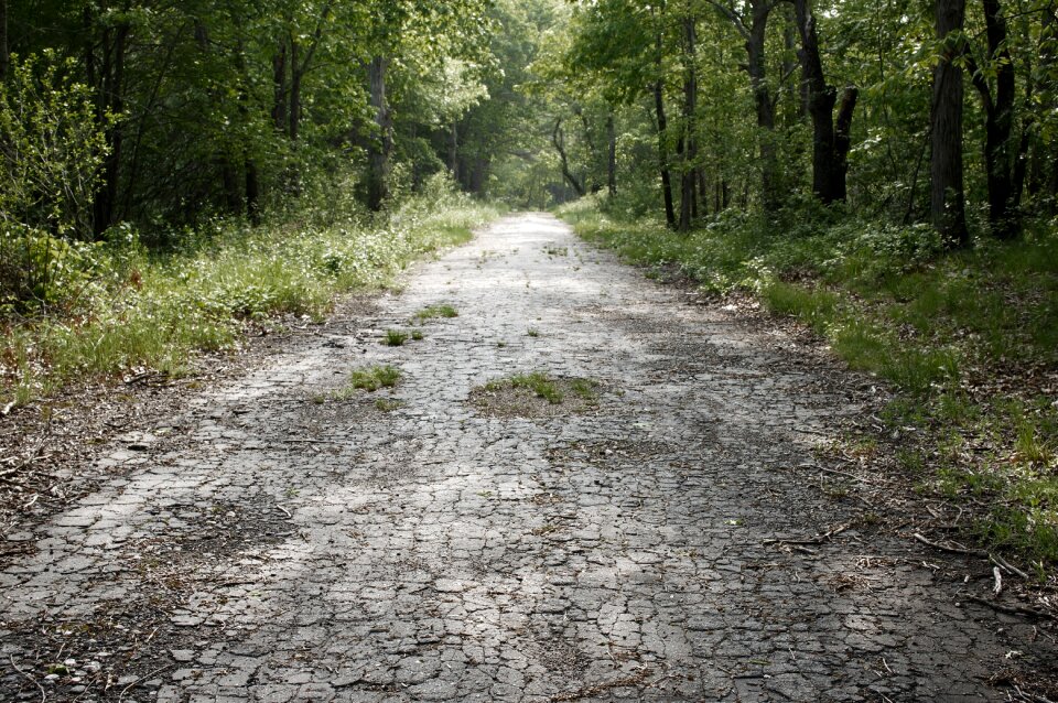 Asphalt old path