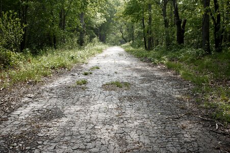 Asphalt old path