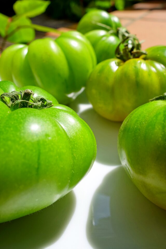 Vegetables food healthy