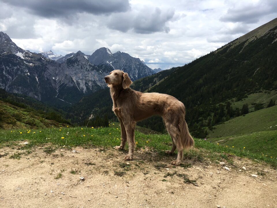 Alpine mountain landscape