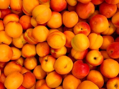Eat food nature