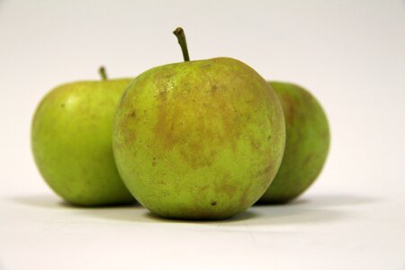 Green apple fruit tree collections