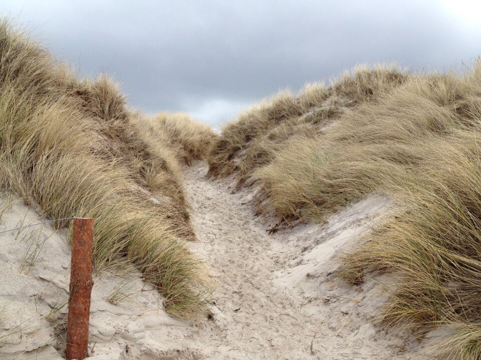 Dune landscape nature Free photos