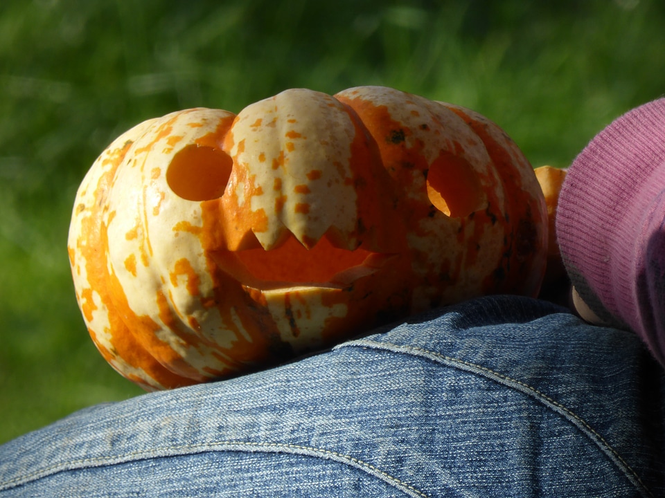 Halloween autumn out