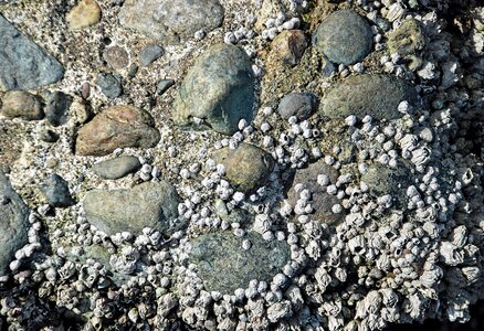 Seascape texture sea