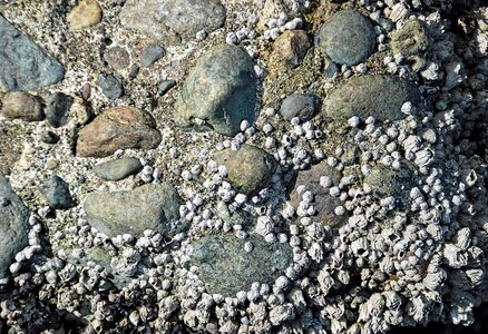 Seascape texture sea photo