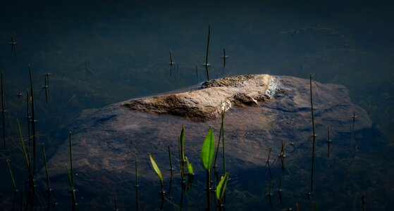 Nature landscape outdoor photo