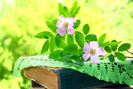 Dogrose napkin summer cottage