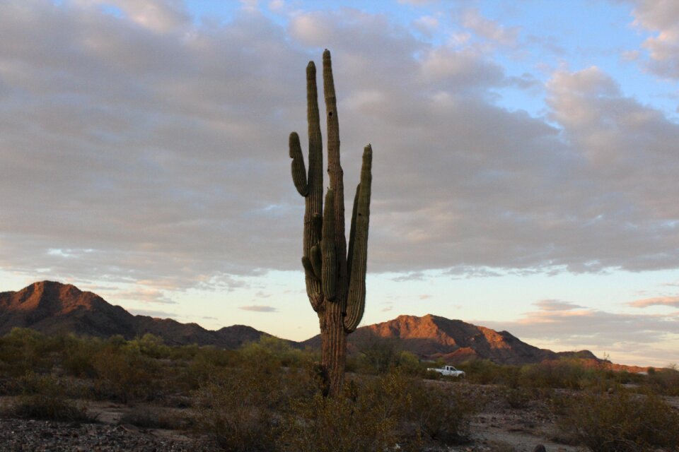 Arizona southwest gray desert