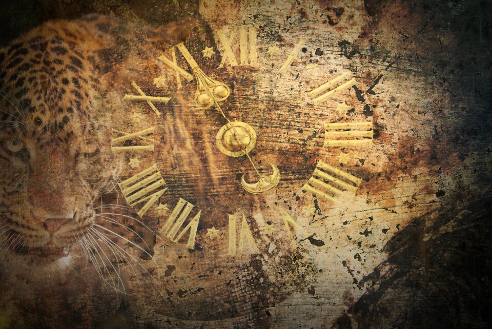 Clock figures cougar