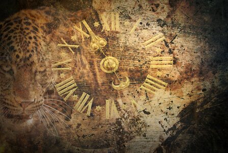 Clock figures cougar
