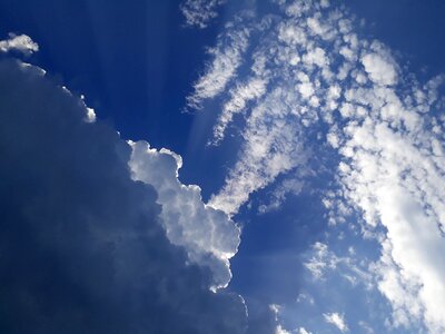 Blue white cotton