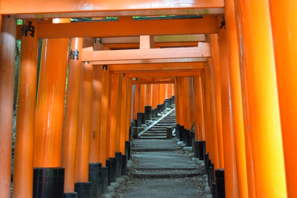 Kyoto fushimi inari shrine Free photos