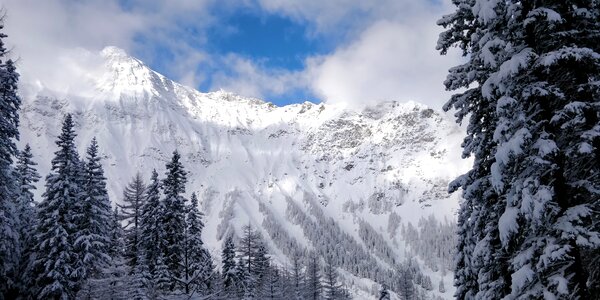 Nature scenic panorama