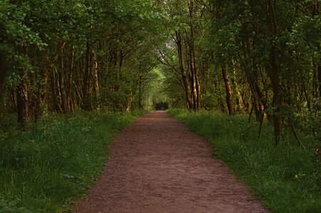 Nature park woods