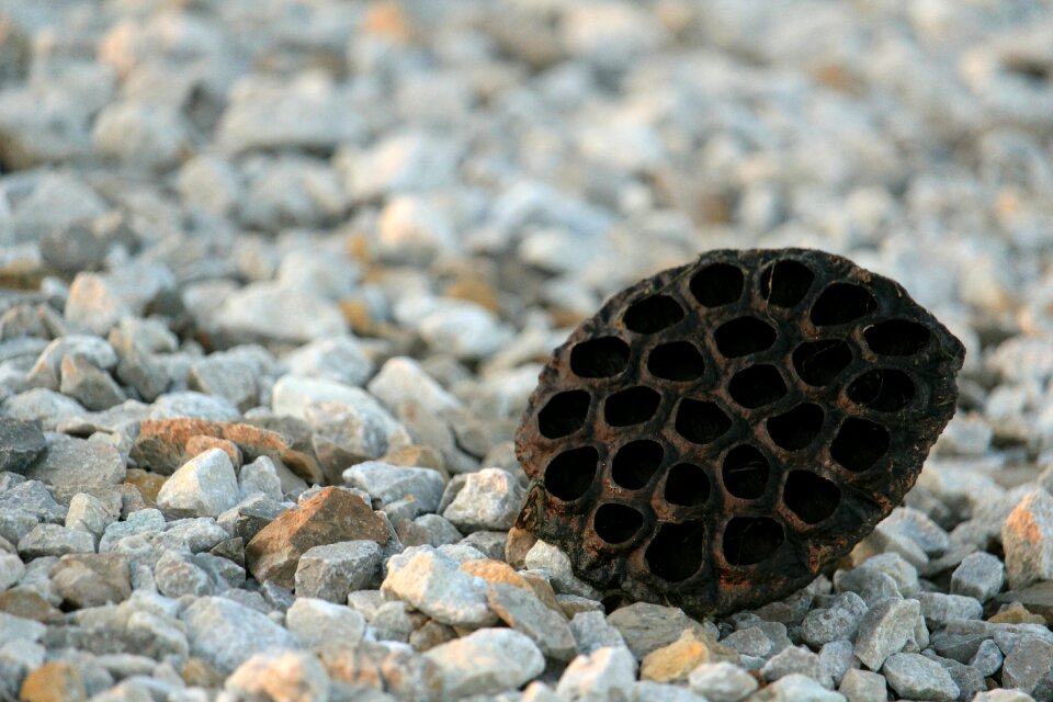 Rocks phobias trypophobia