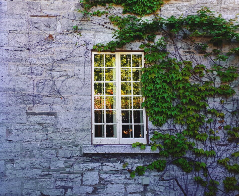 Architecture wall exterior