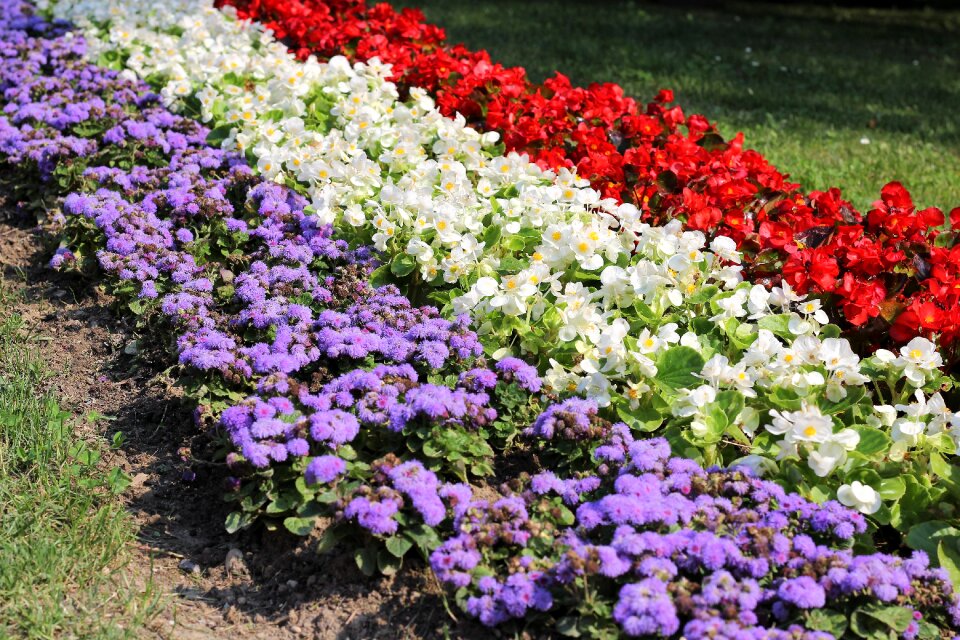 White red decoration