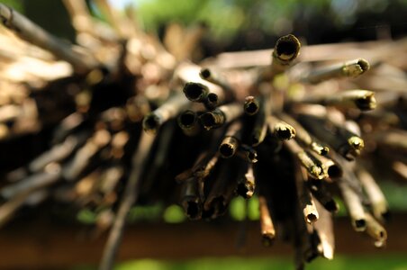 Macro blur edge