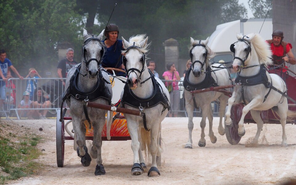 Festival medieval race