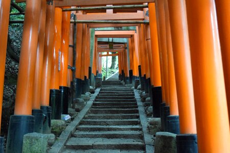 Kyoto fushimi inari shrine Free photos photo