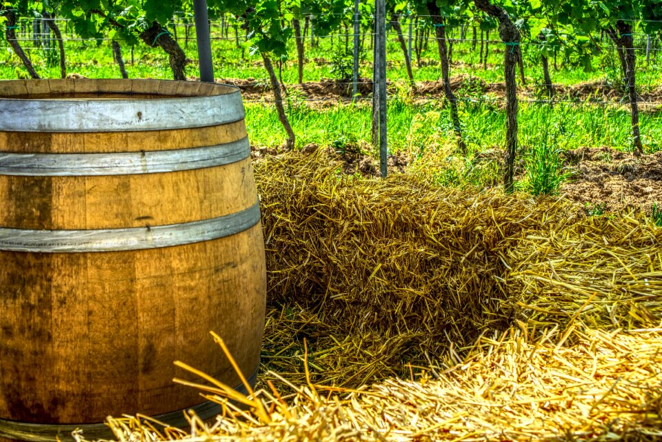 Seating area romantic vineyard