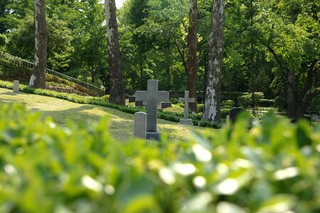 Missionary cross mission