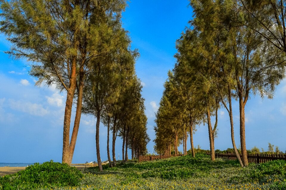 Scenery nature seaside