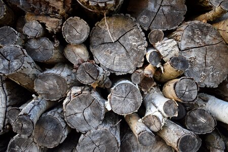 Wooden cut lumber photo