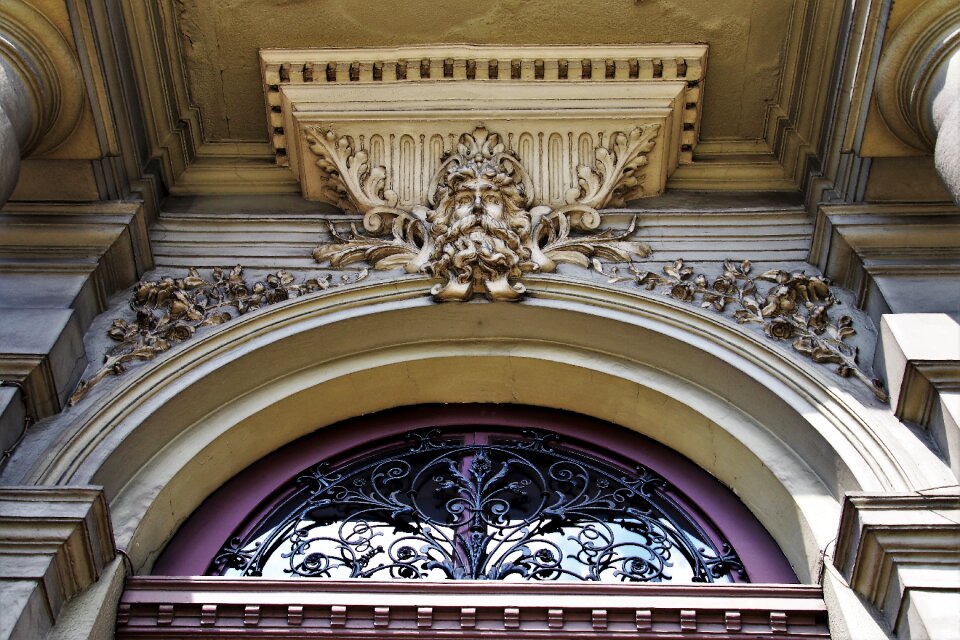Antique pattern vaulted ceiling