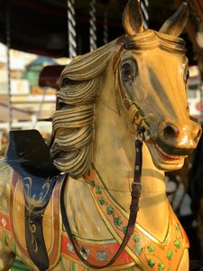 Carousel carousel horse childhood photo