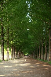 Meta information inquiries your way forest korea