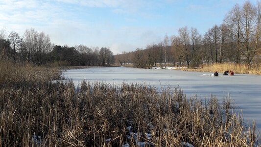 Park forest winter