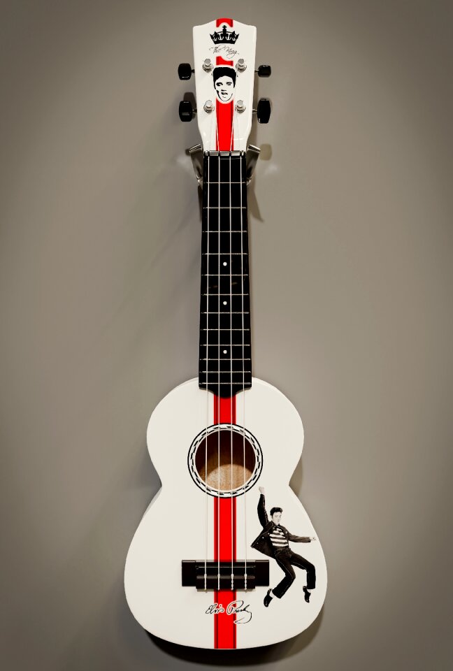 Instrument elvis tribute