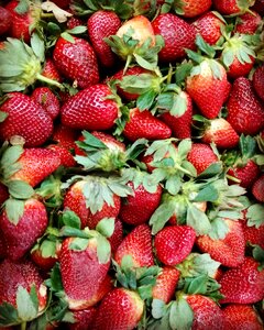 Strawberries red color red fruits