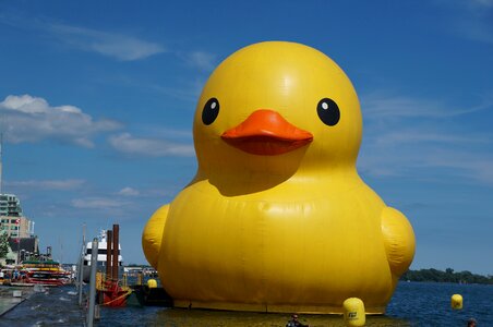 Rubber duck