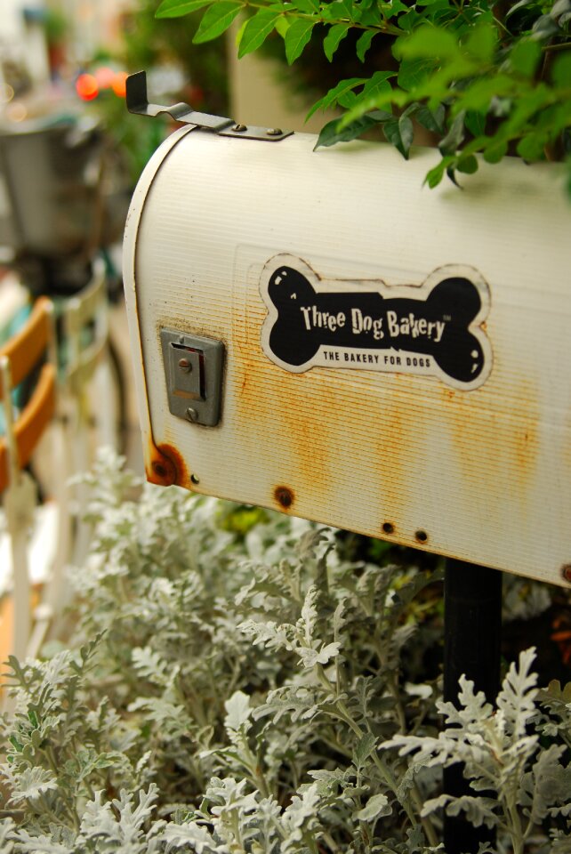 Mail box white bone