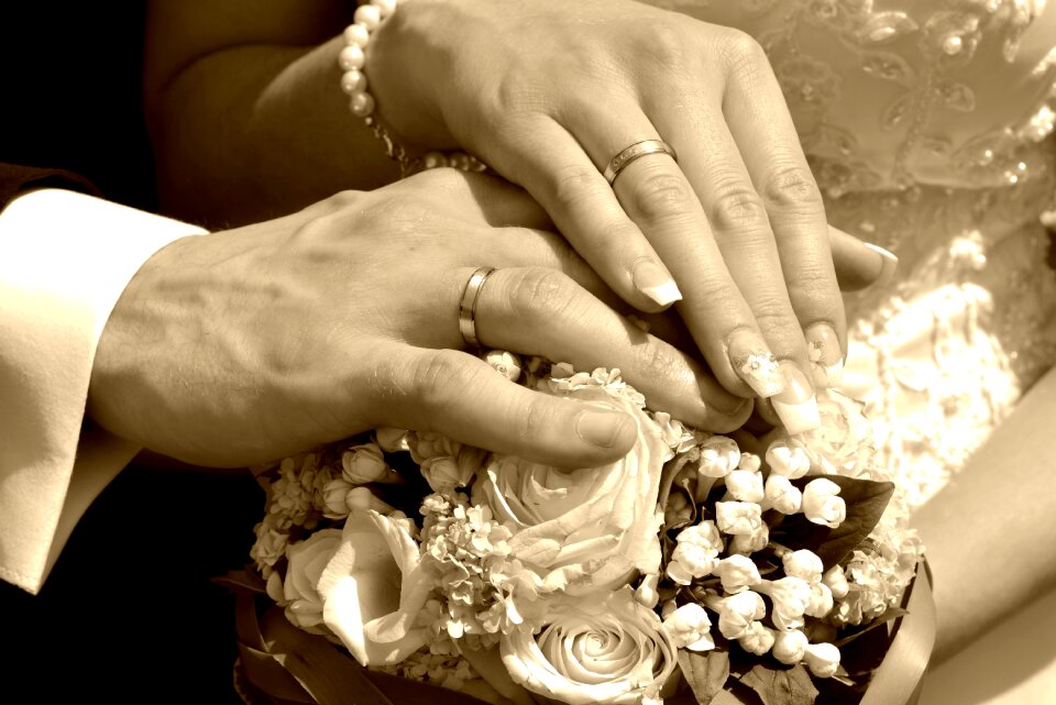 Beautiful rose bride groom photo