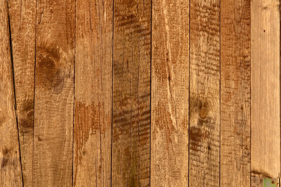 Texture wooden wood background photo