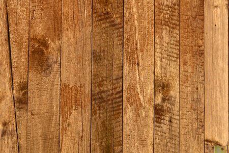 Texture wooden wood background photo