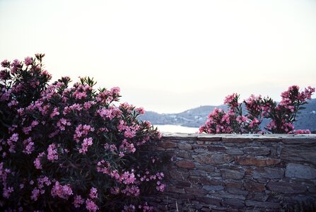 Ios cyclades mediterranean