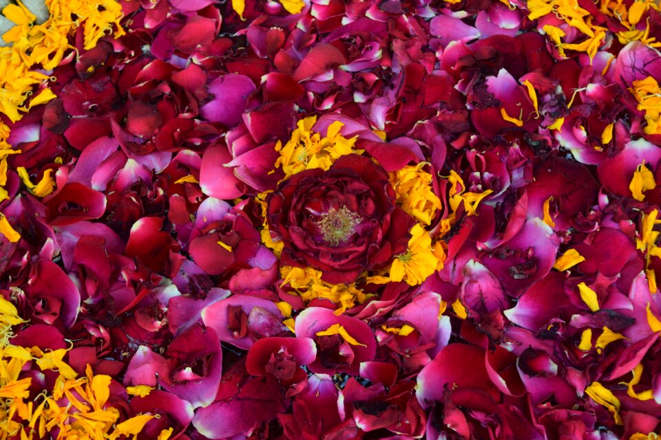 Decoration floral decorations hotel